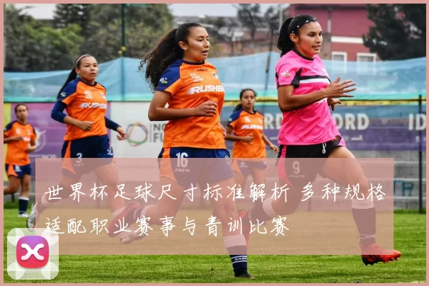 世界杯足球尺寸标准解析 多种规格适配职业赛事与青训比赛
