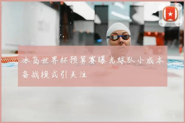 冰岛世界杯预算赛曝光球队小成本备战模式引关注