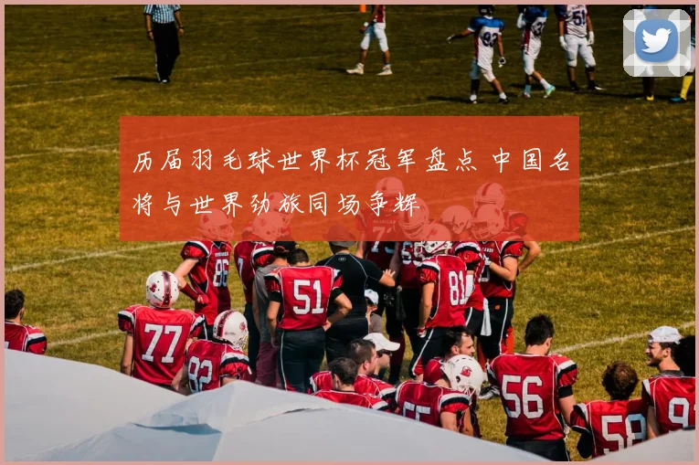 历届羽毛球世界杯冠军盘点 中国名将与世界劲旅同场争辉